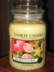 One of Yankee Candle's newest fragrences, Island Guava, has just arrived